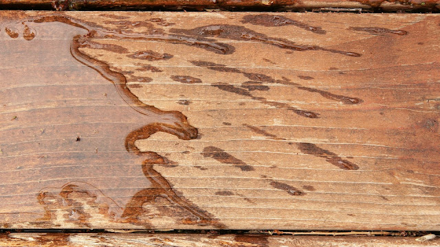 Kayu Tahan Air Kayu Tahan Air